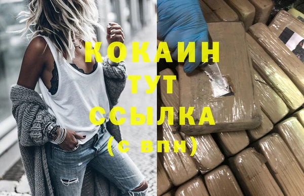 сатива Карталы
