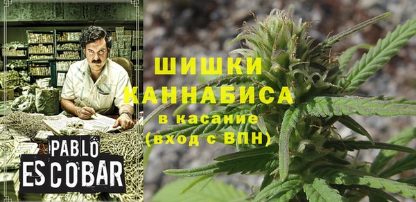 винт Касимов