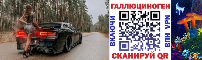 Псилоцибиновые грибы Cubensis  Кяхта 